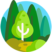 forest